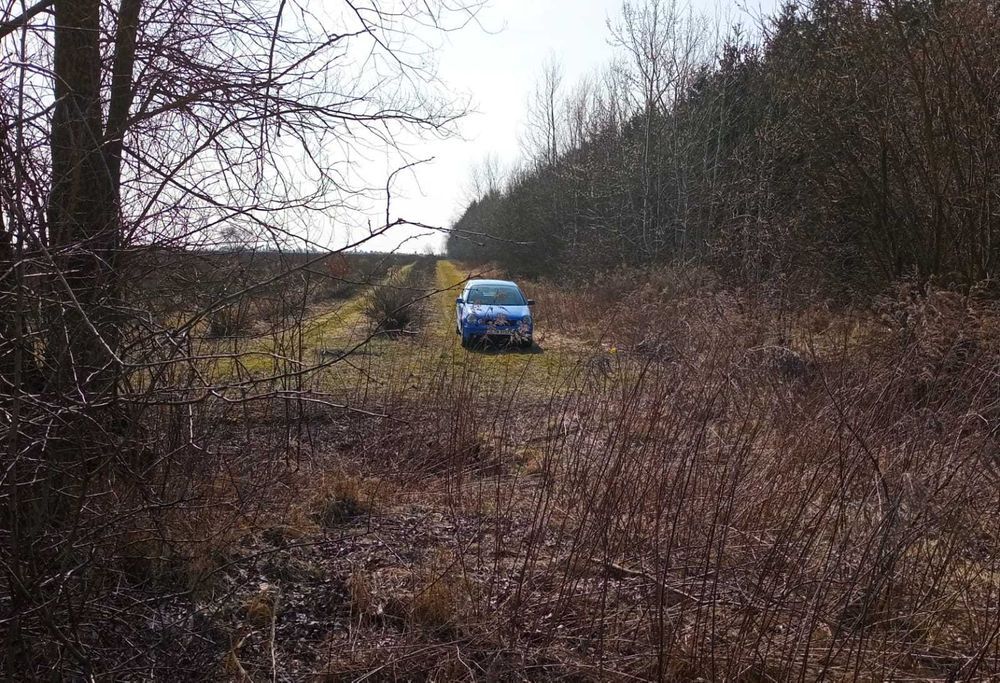 Działka siedliskowa Puszcza Mariańska. Zdjęcie 6