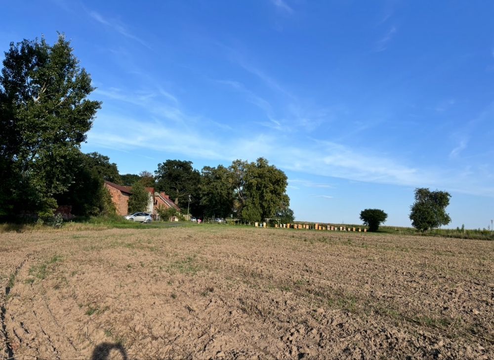 Działka budowlana Dryżyna. Zdjęcie 2