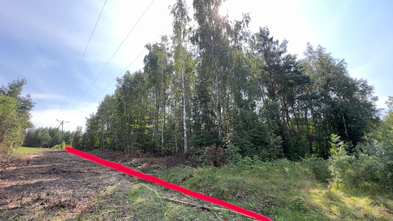 Działka rolno-budowlana Piaseczno. Zdjęcie 6