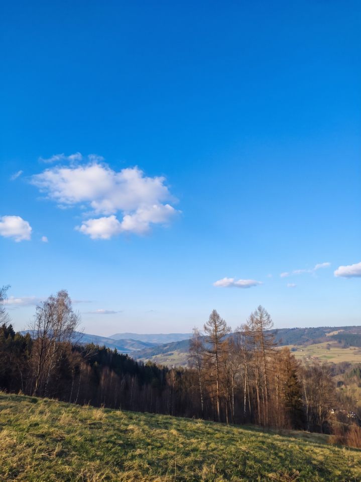 dom wolnostojący, 4 pokoje Bogdanówka Czopkowa, Bogdanówka 157. Zdjęcie 19