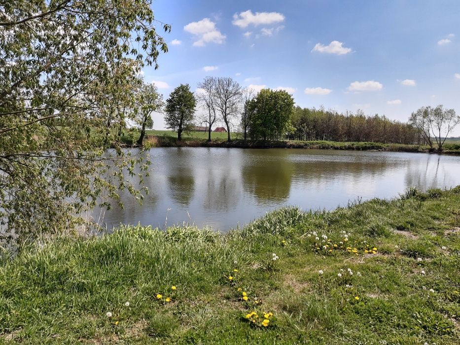 Działka rekreacyjna Kolonia Strzegocin. Zdjęcie 6