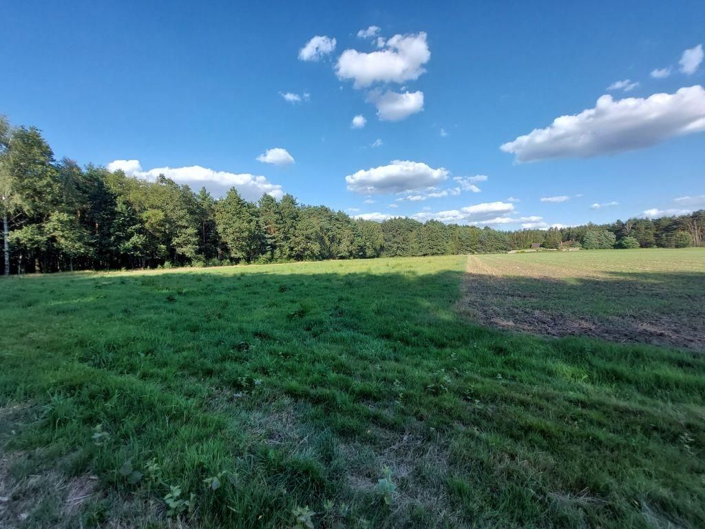 Działka rolno-budowlana Zamęty. Zdjęcie 12