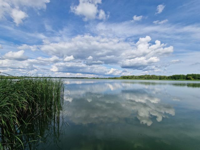 Działka rekreacyjna Nowy Orzechów. Zdjęcie 1