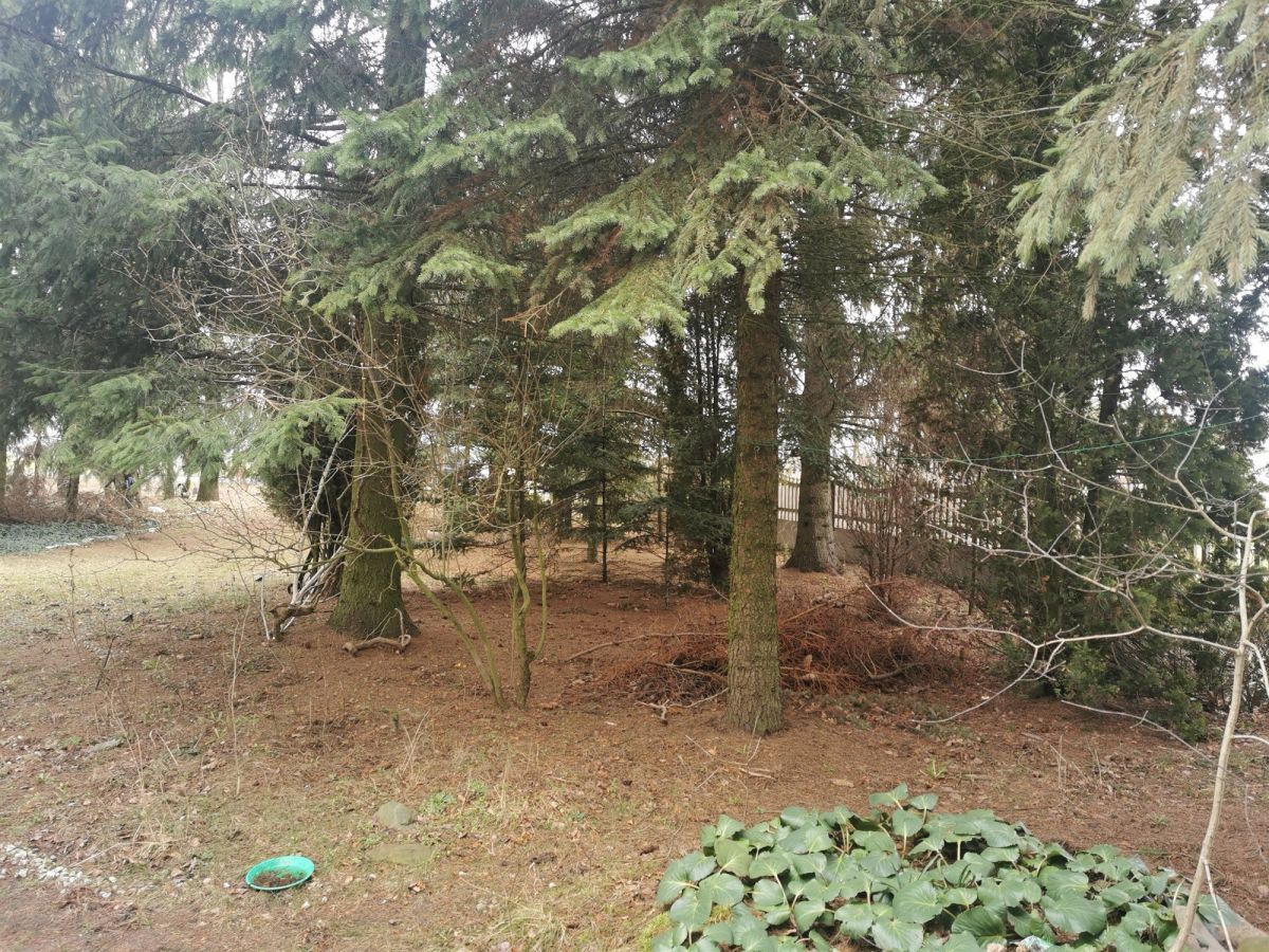 dom wolnostojący, 6 pokoi Kazimierzew. Zdjęcie 2