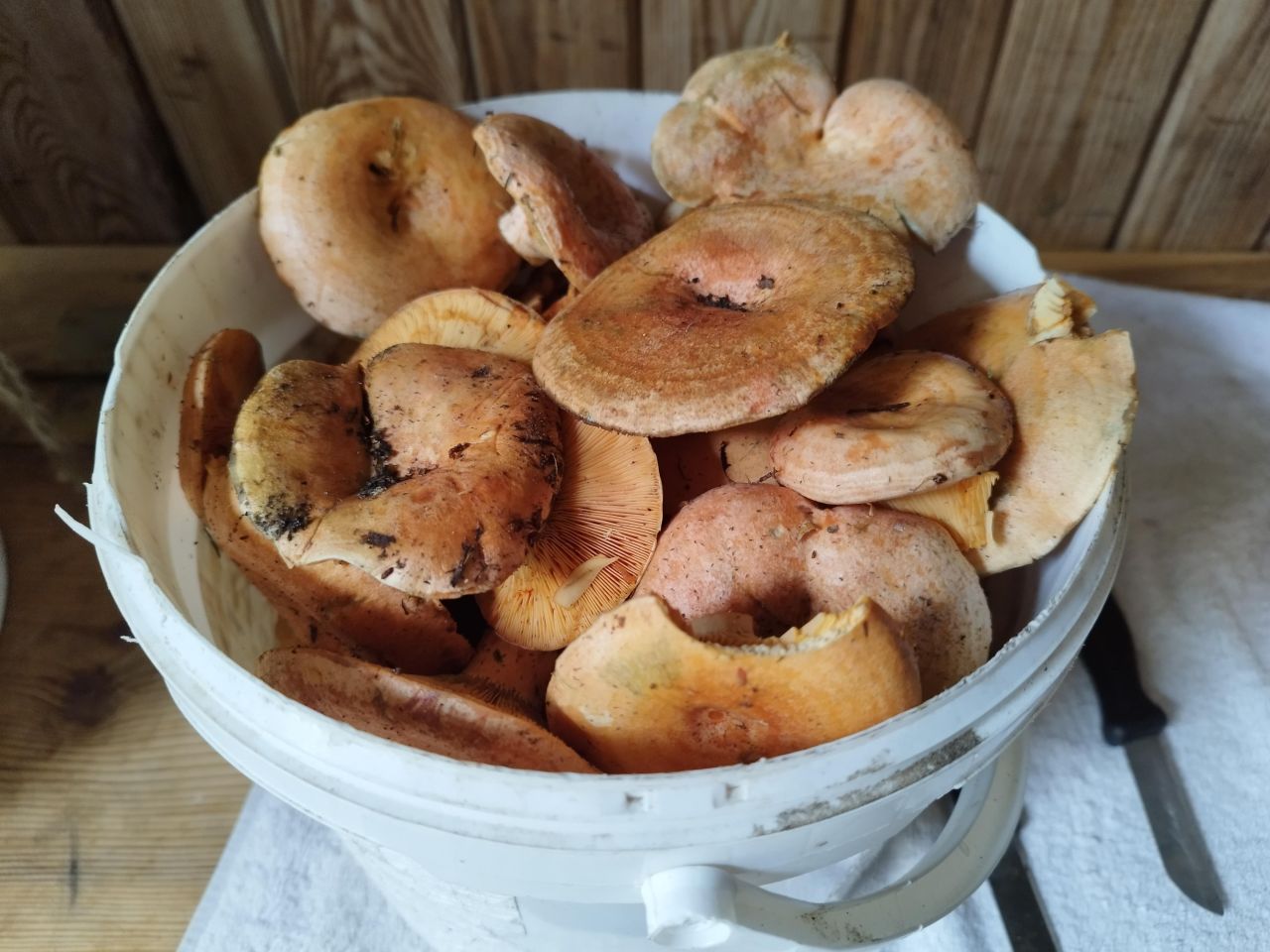 dom wolnostojący, 8 pokoi Lubień. Zdjęcie 8