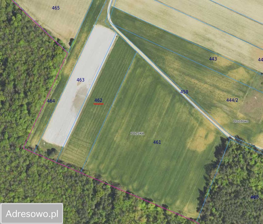 Działka rolna Drozdowo. Zdjęcie 3