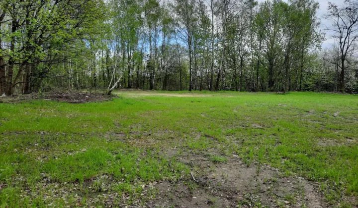 Działka inna Jastrzębie-Zdrój, ul. Szybowa