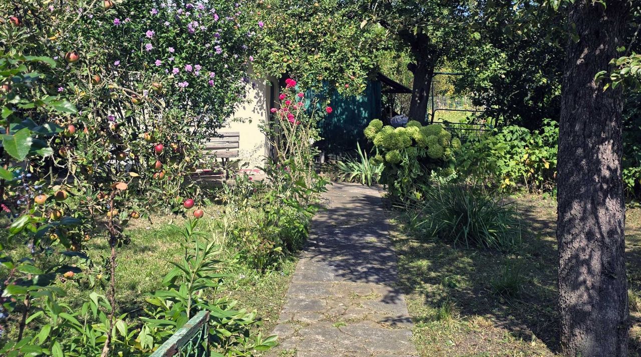 Działka rod Wrocław Śródmieście, ul. Odona Bujwida. Zdjęcie 7