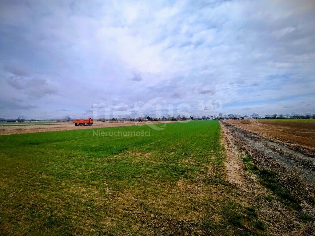 Działka budowlana Świerzna. Zdjęcie 3