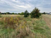 Działka budowlana Golina, ul. Kąkolowa