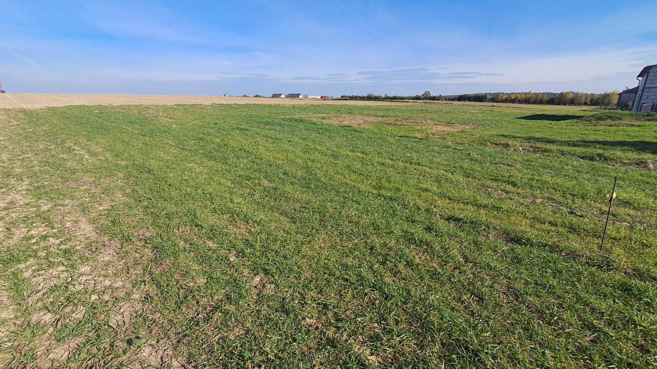 Działka budowlana Jabłonna-Majątek. Zdjęcie 4