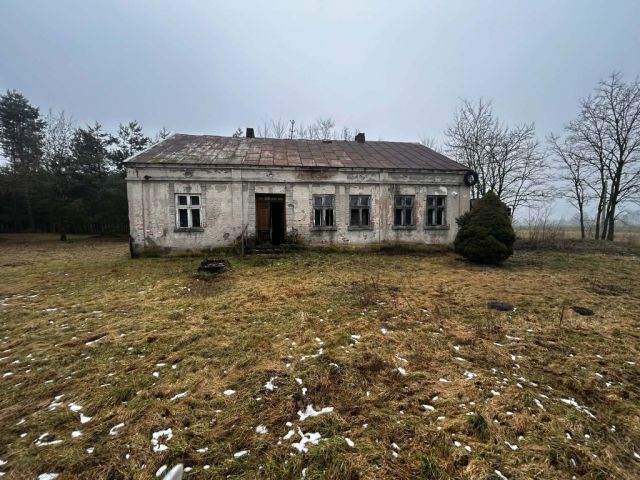 Działka rolna Michalinów. Zdjęcie 1