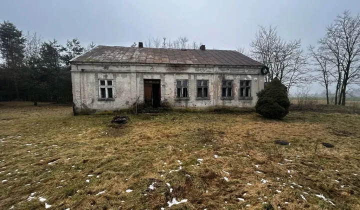 Działka rolna Michalinów