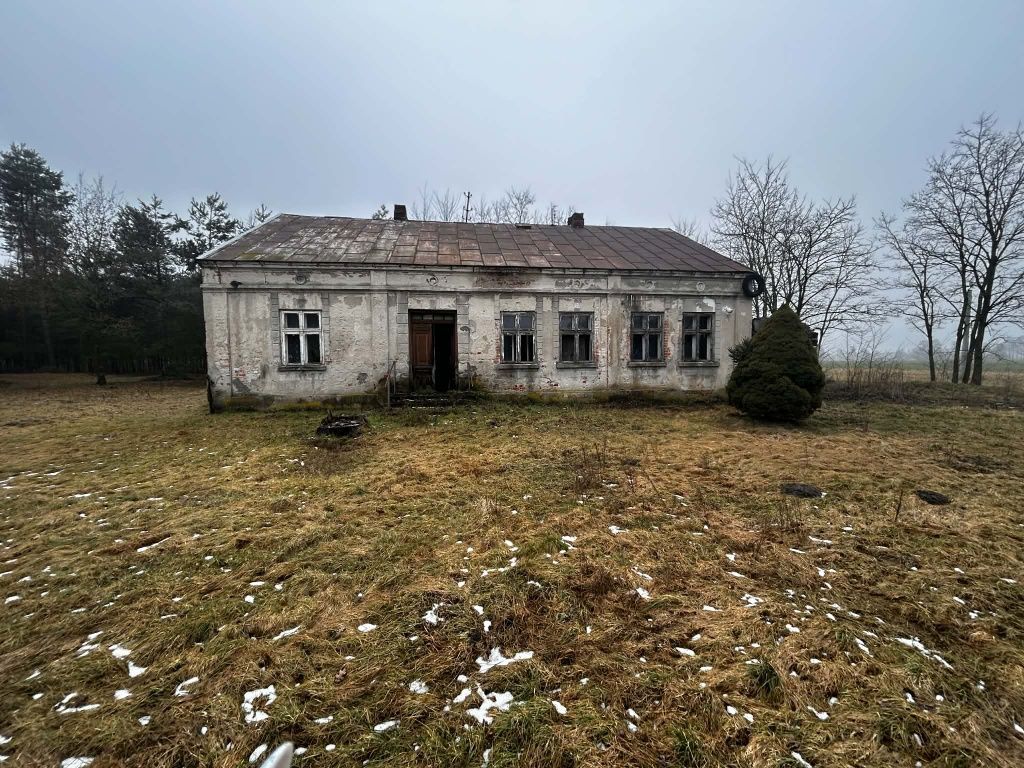 Działka rolna Michalinów. Zdjęcie 1