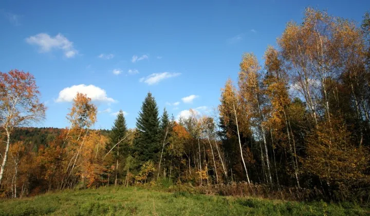 Działka rolna Siemiechów