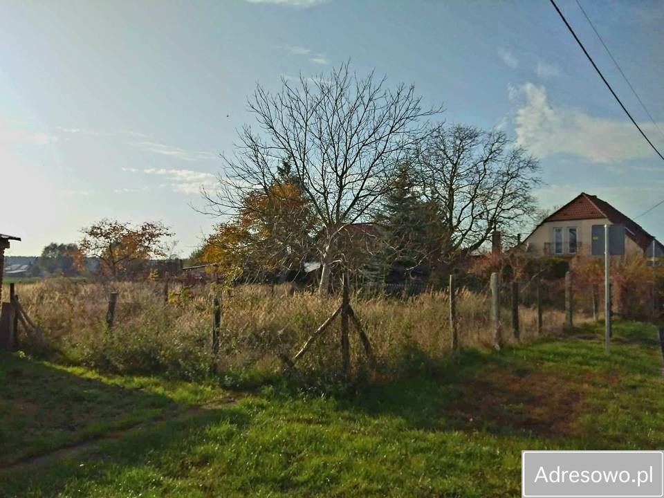 Działka siedliskowa Boleszkowice. Zdjęcie 10