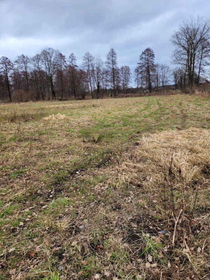 dom wolnostojący Szklary Dolne. Zdjęcie 5