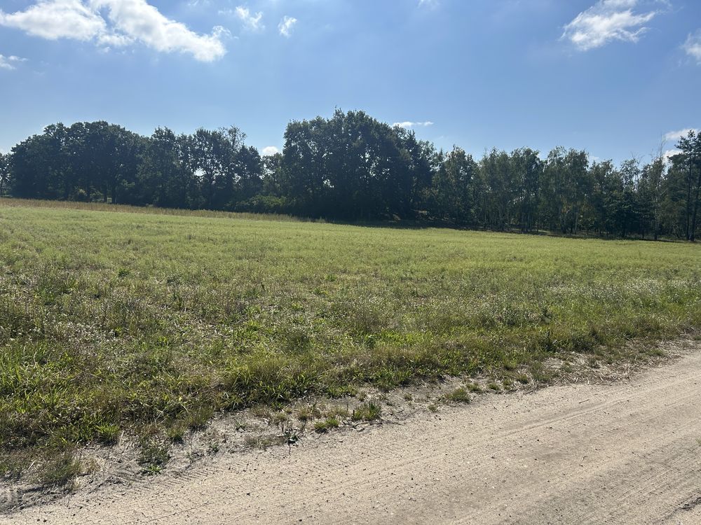 Działka budowlana Zławieś Wielka