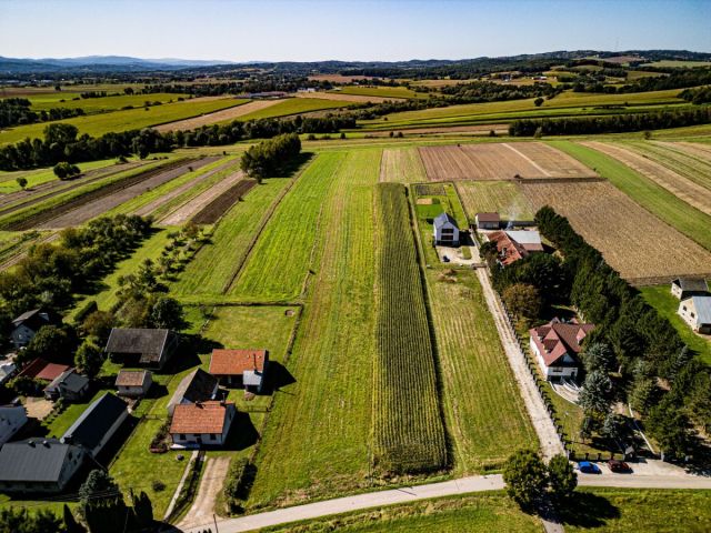 Działka budowlana Niegowić. Zdjęcie 5