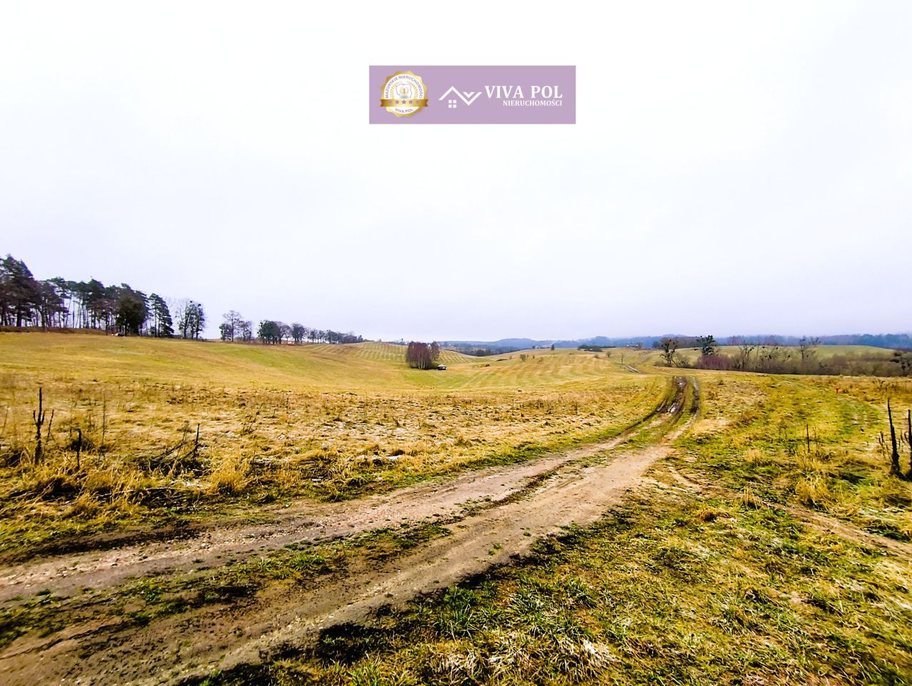 Działka rekreacyjna Kiersztanowo. Zdjęcie 3