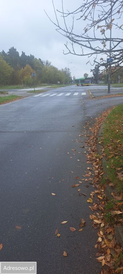 Działka inwestycyjna Poznań Stare Miasto, ul. Łużycka. Zdjęcie 7