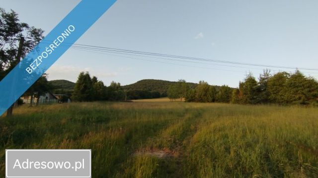 Działka Wysowa-Zdrój. Zdjęcie 1