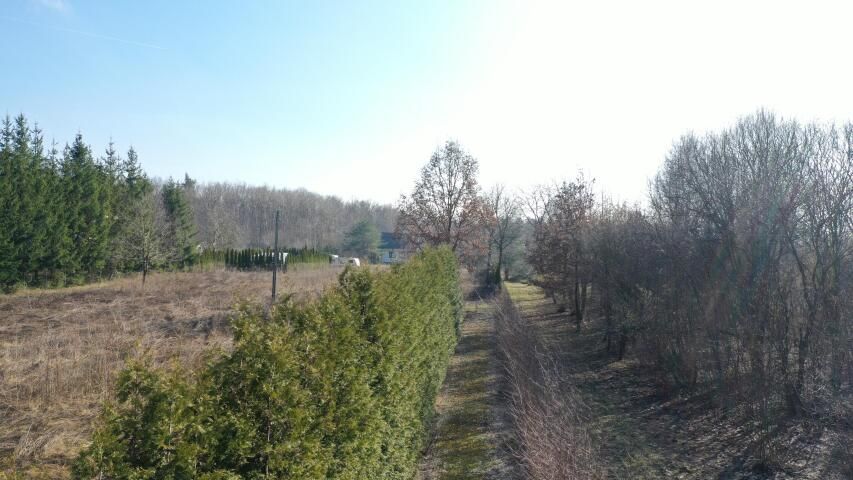 dom wolnostojący, 6 pokoi Elżbiecin. Zdjęcie 11