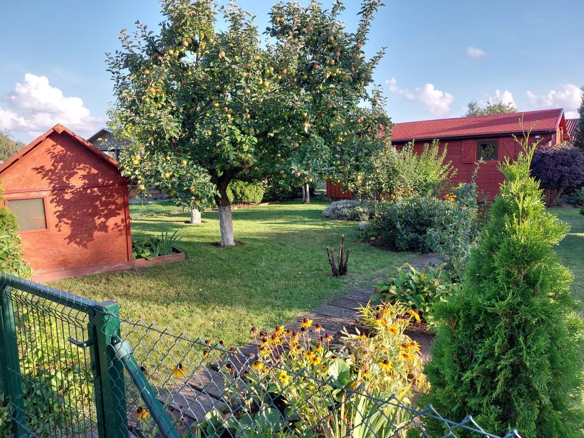 Działka rod Piła. Zdjęcie 3