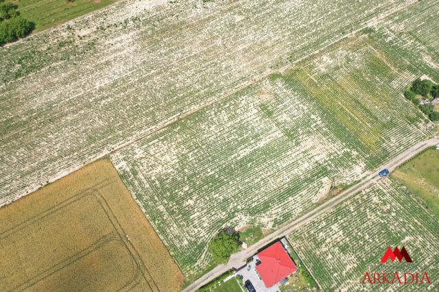 Działka inwestycyjna Zarzeczewo. Zdjęcie 13