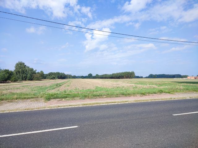 Działka rolna Jeziorsko. Zdjęcie 1