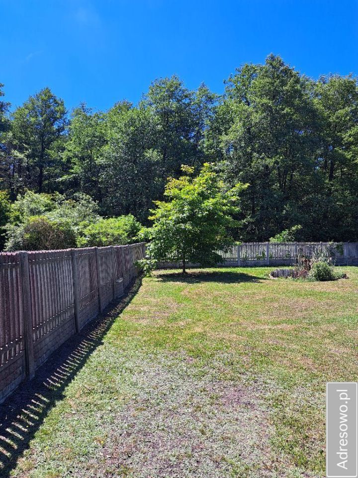 Działka budowlana Wólka Żabna. Zdjęcie 8