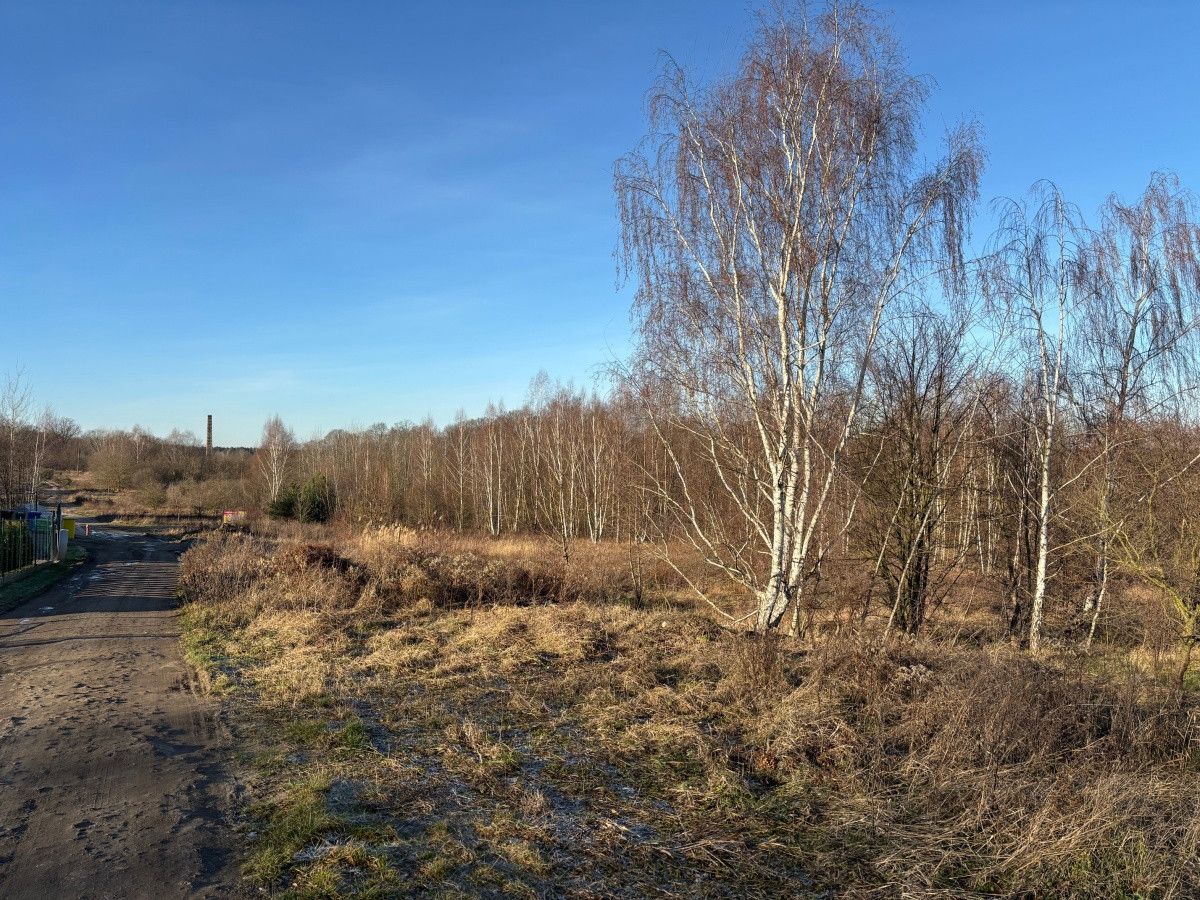 Działka budowlana Lubsko, ul. Jarzębinowa. Zdjęcie 8