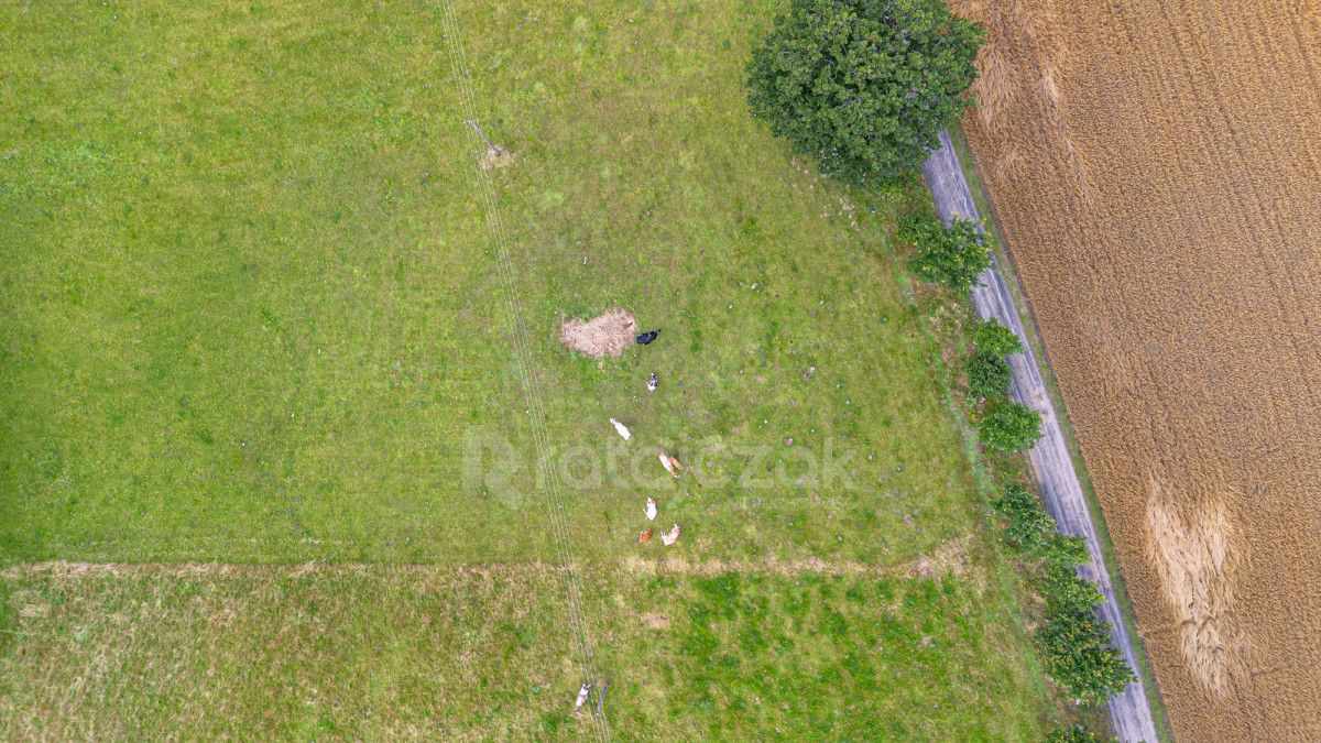 Działka inwestycyjna Milwino, ul. Rolnicza. Zdjęcie 4