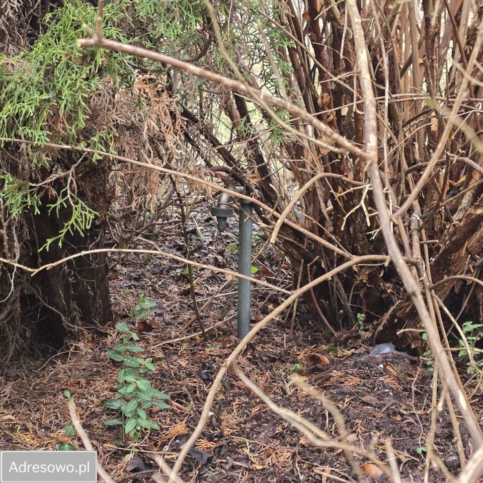 Działka rolno-budowlana Bolechowo. Zdjęcie 13