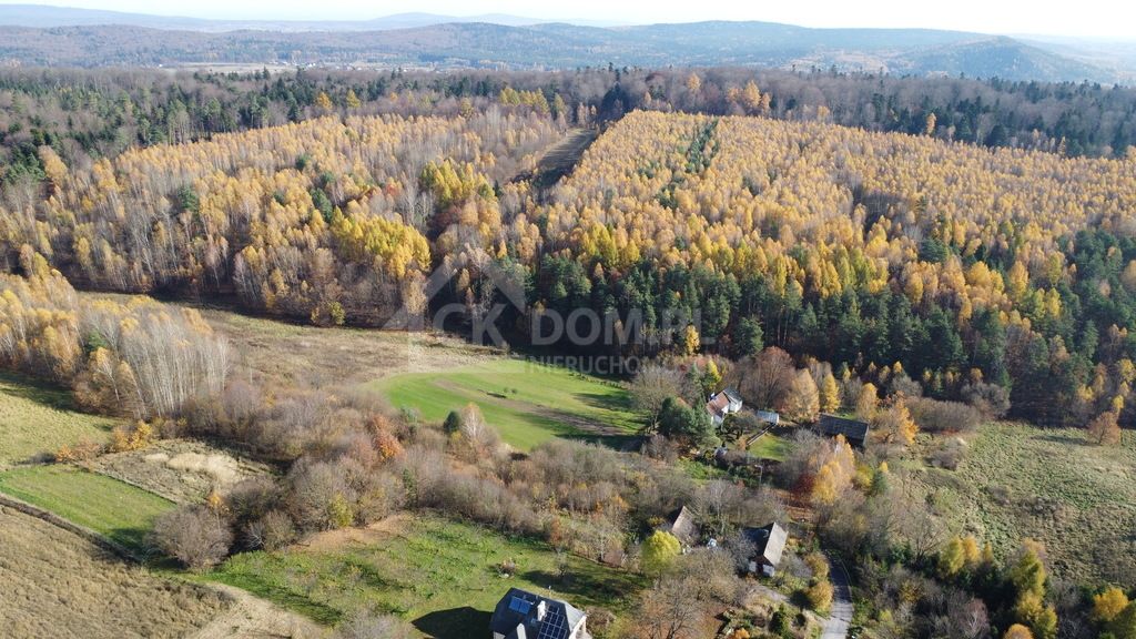 Działka rolna Cisów. Zdjęcie 1