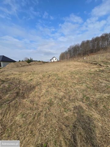 Działka budowlana Dziwiszów, ul. Słoneczna. Zdjęcie 1