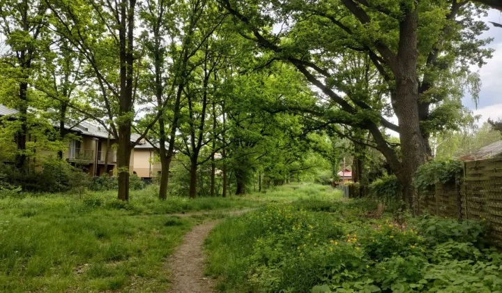 Działka rolna Warszawa Wawer, ul. Ogórkowa