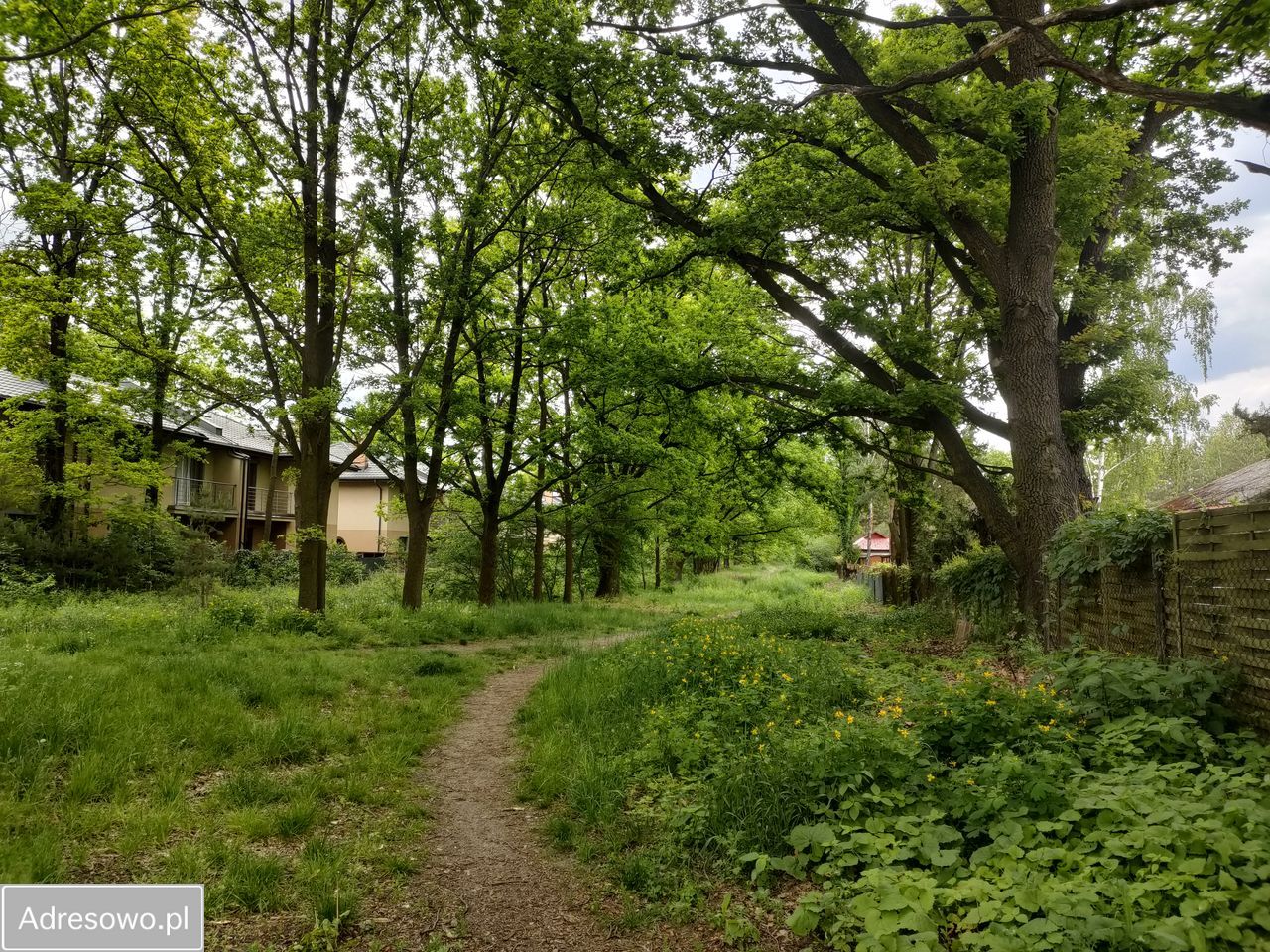 Działka rolna Warszawa Wawer, ul. Ogórkowa