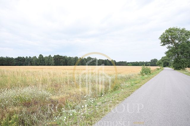 Działka siedliskowa Górka. Zdjęcie 3