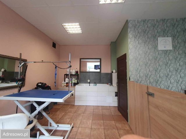 Lokal Wrocław Śródmieście, ul. Bolesława Prusa. Zdjęcie 1