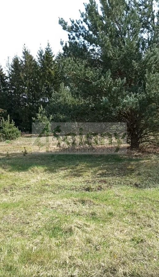 Działka budowlana Brok. Zdjęcie 2