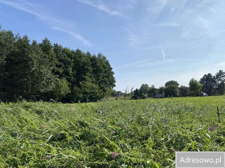 Działka budowlana Żory Rogoźna, ul. Łąkowa. Zdjęcie 2