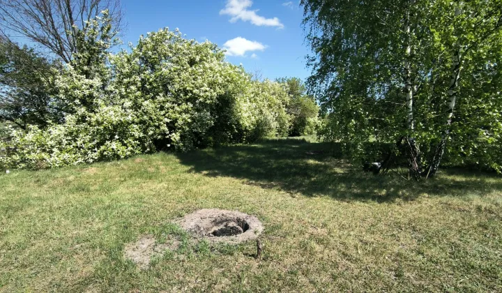 Działka budowlana Orła