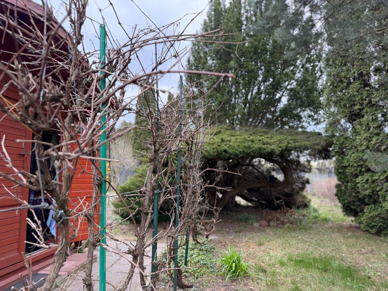 Działka rod Warszawa Ochota. Zdjęcie 7