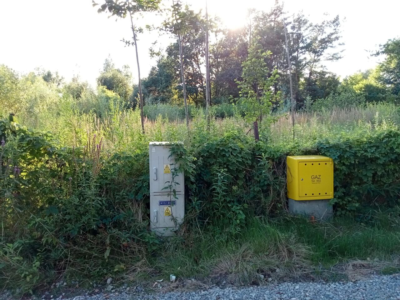 Działka budowlana Wólka Kozodawska, ul. Polna. Zdjęcie 1