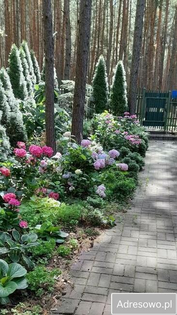 dom wolnostojący, 7 pokoi Skubianka, ul. Korzenna. Zdjęcie 6