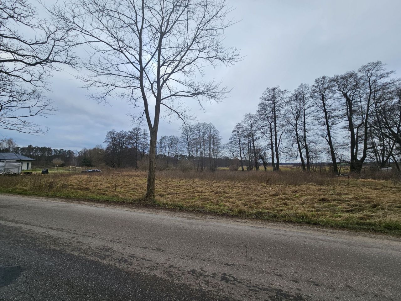 Działka rolno-budowlana Kotuń. Zdjęcie 6