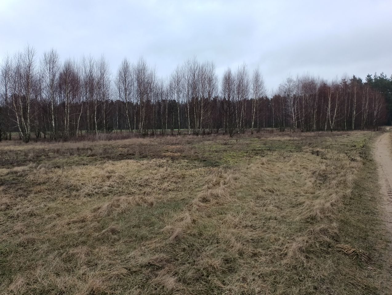 Działka budowlana Cisse. Zdjęcie 6