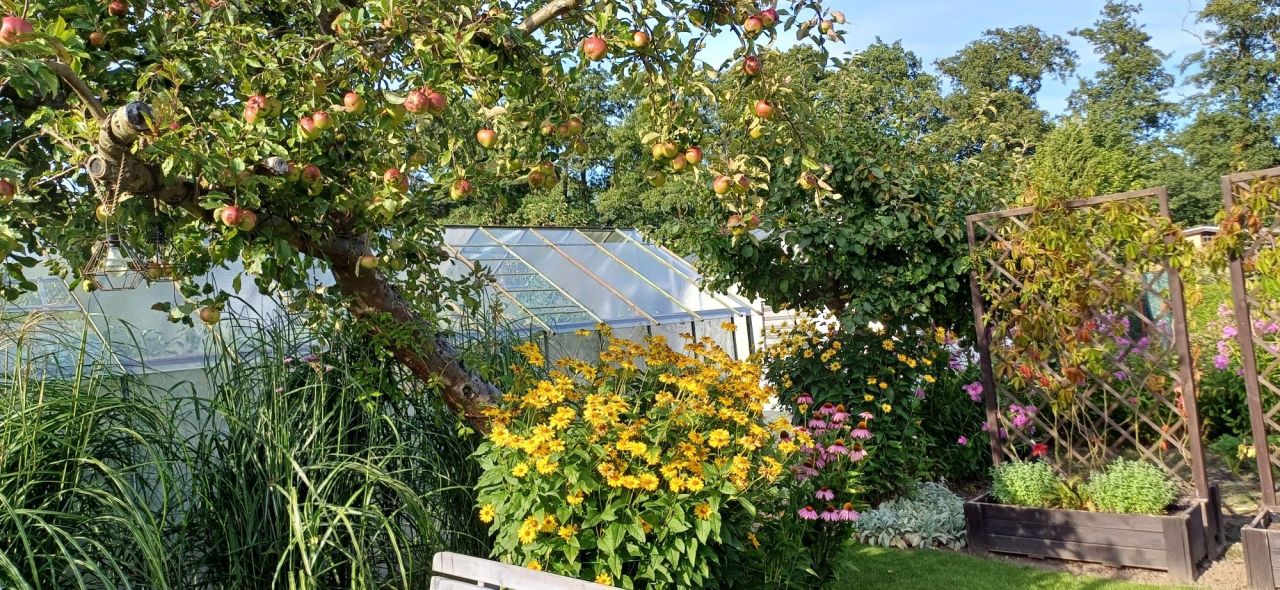 Działka rod Kołobrzeg, ul. Basztowa. Zdjęcie 7