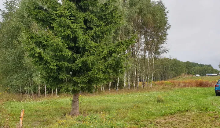 Działka rolno-budowlana Romany